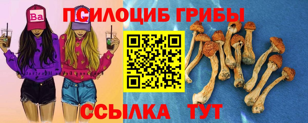Галлюциногенные грибы GOLDEN TEACHER Щёлково