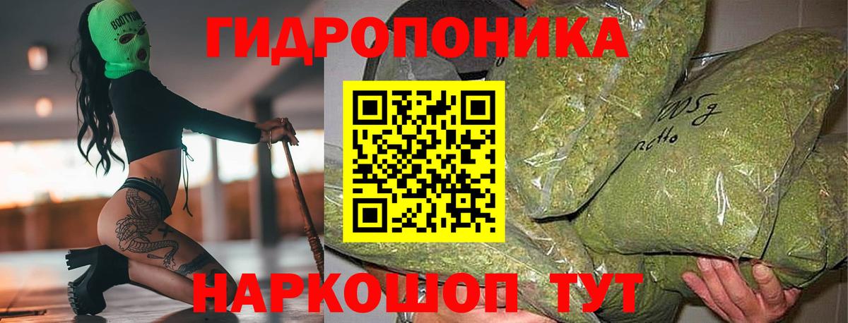 Конопля VHQ  Шишки марихуана планчик  Щёлково  Вход с VPN  Бошки марихуана Ganja  Каннабис Bruce Banner 